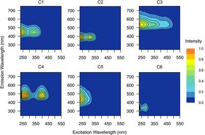 Storm-driven hydrological, seasonal, and land use/land cover impact on dissolved organic matter dynamics in a mid-Atlantic, USA coastal plain river system characterized by 21 T FT-ICR mass spectrometry